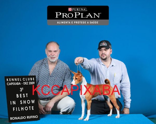 Clique sobre a foto para fechar